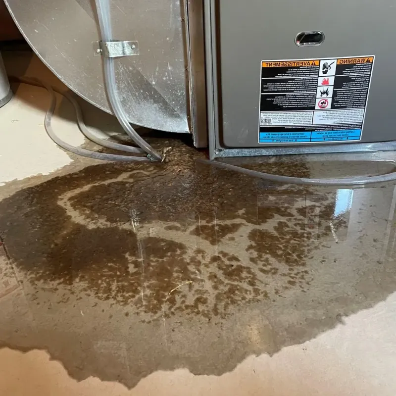 Pipe Burst and Leak Restoration in North Laurel, MD